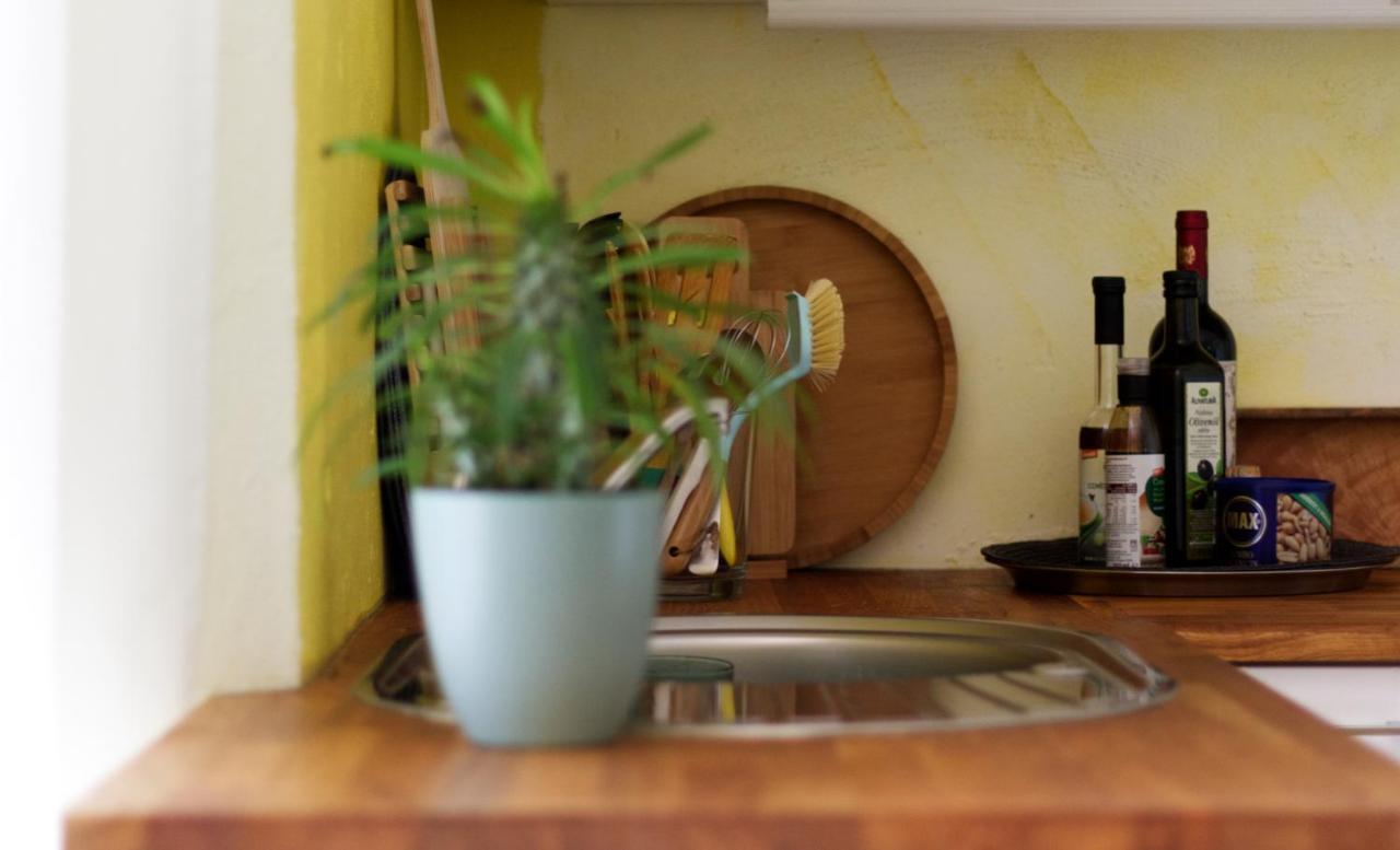 Souterrainwohnung Mit Grossem Garten Und Sauna Кассель Экстерьер фото
