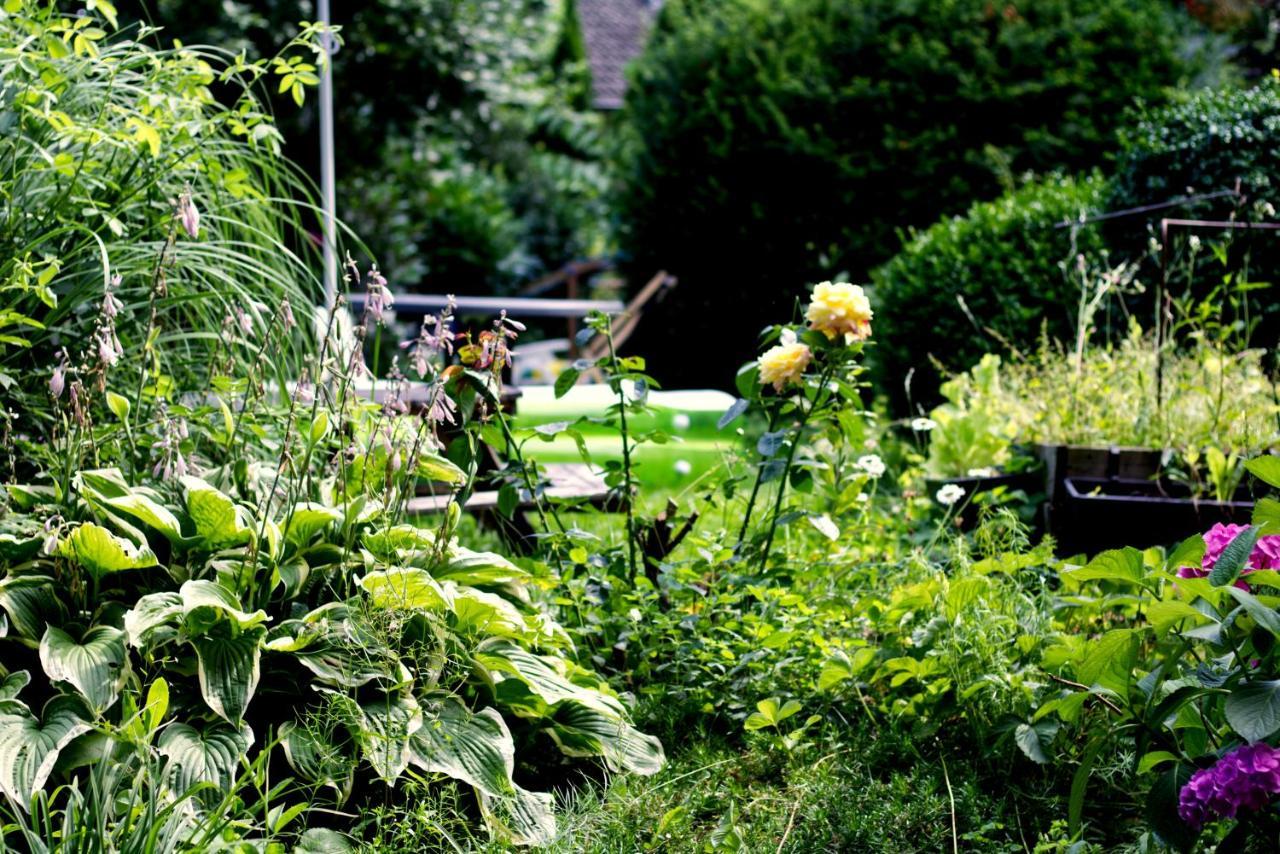 Souterrainwohnung Mit Grossem Garten Und Sauna Кассель Экстерьер фото